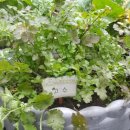 남도진순대국 이미지