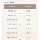 타임옴므롯데백화점 이미지