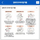 디딤돌유통