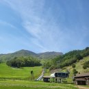 가족호텔 개나리동 | [무주 여행] 5월 덕유산 &amp; 무주덕유산리조트 골드 개나리동