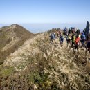 땅끝해남관광안내소 이미지