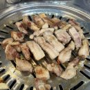 오늘도 무사히 콘서트3 | "오늘도 무사히" 콘서트 후기 프롬올투휴먼x다섯x넬