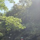 64차정기산행 심연계곡 이미지