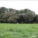 우리들목장 이미지