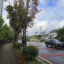 안평역 3번출구 이미지