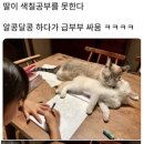 공부하는 딸과 고양이 부부 이미지