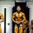 테일러짐 이미지