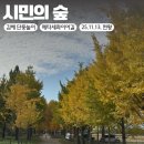 호계로 291번길 | 김해 단풍놀이 강동 시민의 숲 메타세콰이어길 (위치, 주차정보)