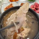 남양성지로 | 화성삼계탕 유씨네 본가 누룽지삼계탕 화성남양점 화성백숙 화성단체회식