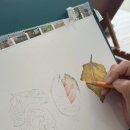 꽃그림 보타니컬아트 | 여름, 가을을 지나 겨울에도 꽃그림, 보타니컬 아트