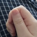 손물