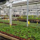 샛별농장 이미지