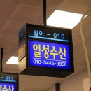 오빠수산 네이버블로그