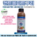 푸른농약사 | ☆김장배추 노균병, 무름병, 뿌리혹병 완벽정리&amp;등록약제(배추농약) 꿀팁!
