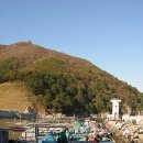 대항새바지 이미지