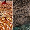 ㈜카페외할머니 이미지