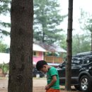 만강목장 | 아트인아일랜드 [34th]