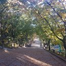 계양산산림욕장(장미원) 이미지