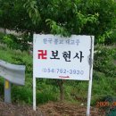 강교1리 Daum카페