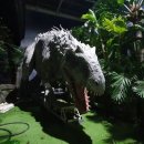 코리아화물 이미지