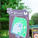 대소국민체육센터 | [기자단] 대소국민체육센터 등 생활에서 즐기는 체육