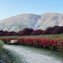 수만리 생태숲공원 이미지