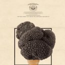 소프트리