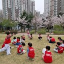 한국체대 신일태권도장 이미지