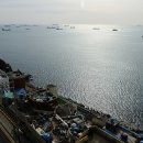 바다가 보이는 풍경 이미지