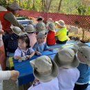 동원새싹어린이집 이미지