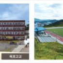 더포레스트