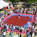 장미의거리10 이미지