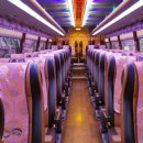 미니투어㈜ 이미지