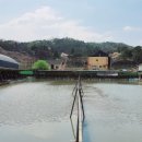 백용낚시터 이미지