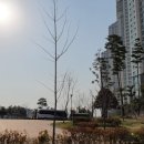 평거엠코앞 이미지