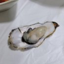 불나리