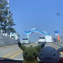 취적2구봉정마을회관 | 신시모도 당일여행