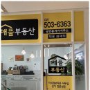 과천공인중개사사무소 이미지