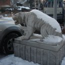 수원농생명 과학고등학교 이미지