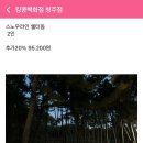 킹콩백화점 청주점