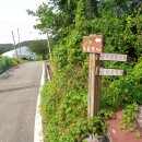솔숲산 Daum카페