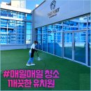 도그유토피아 이미지
