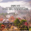 마포관광농원 | 2024 전국 가을꽃축제 추천 정보 총정리 10곳