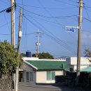 제주곰하우스 민박 | 제주 세화 숙소 희도민박 ㅣ 가는방법 및 2박 숙박 후기