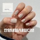 네일마당 | 안양네일 네일디브,동편마을 네일아트 추천,2026팬톤 클라우드댄서 네일컬러