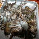 대명민박 이미지