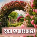 장미원미용실 네이버블로그