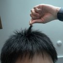 장싸롱 | [기타] 삭발 후 1년