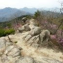 팔공산맥 이미지