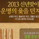 [네이버지식쇼핑]2013 신년맞이, 운명의 윷을 던져라! 이미지